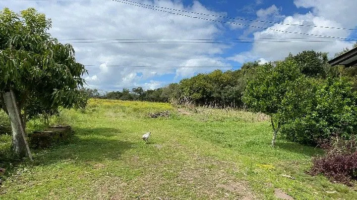 Sítio à venda de 10 ha em Parobé, RS, Brasil