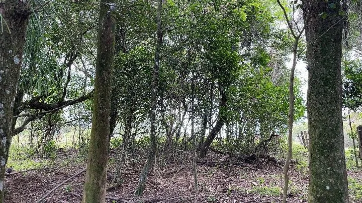 Sítio à venda de 10 ha em Parobé, RS, Brasil