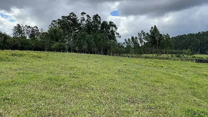 Sítio à venda de 10 ha em Parobé, RS, Brasil