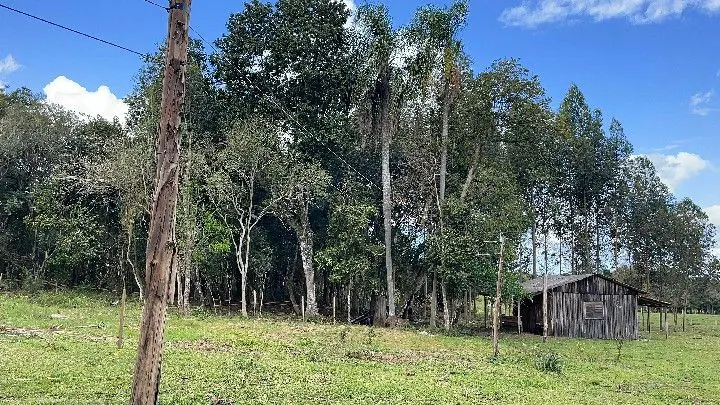 Sítio à venda de 10 ha em Parobé, RS, Brasil