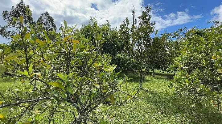 Sítio à venda de 10 ha em Parobé, RS, Brasil