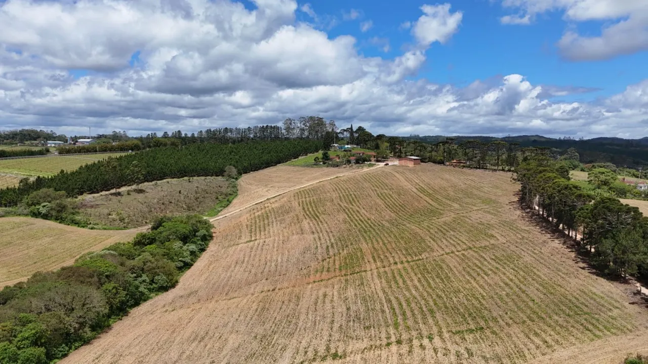 Fazenda à venda de 24 ha em São Miguel Arcanjo, SP, Brasil