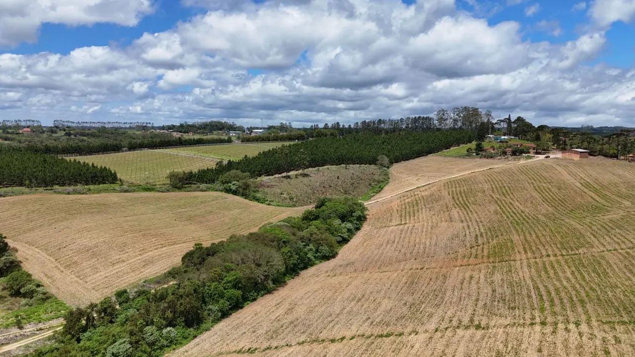 Fazenda à venda de 24 ha em São Miguel Arcanjo, SP, Brasil