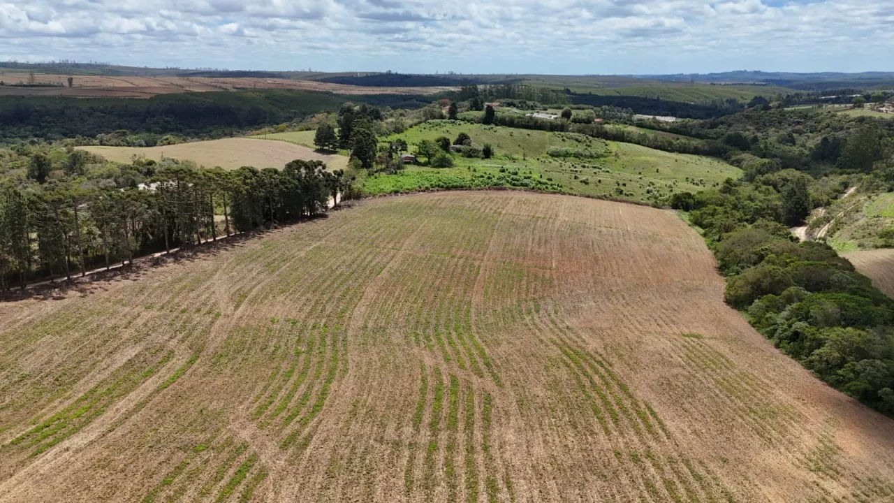 Fazenda à venda de 24 ha em São Miguel Arcanjo, SP, Brasil