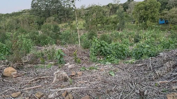 Country home for sale of 10 acres in Caraá, RS, Brazil