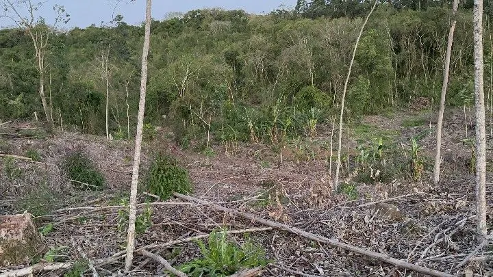 Country home for sale of 10 acres in Caraá, RS, Brazil