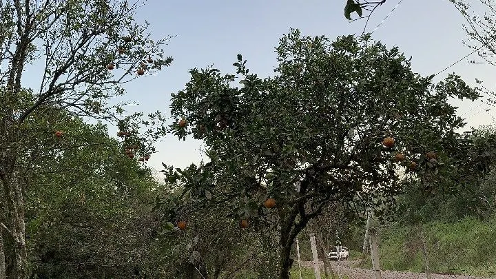 Country home for sale of 10 acres in Caraá, RS, Brazil
