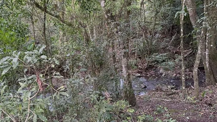 Country home for sale of 10 acres in Caraá, RS, Brazil