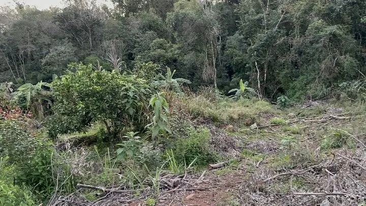 Country home for sale of 10 acres in Caraá, RS, Brazil