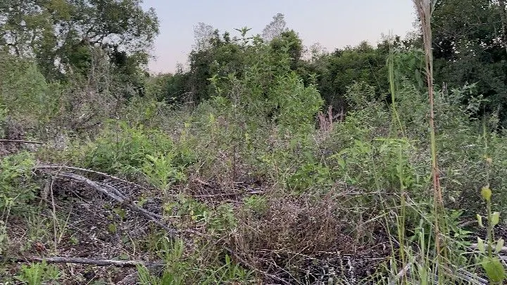 Country home for sale of 10 acres in Caraá, RS, Brazil