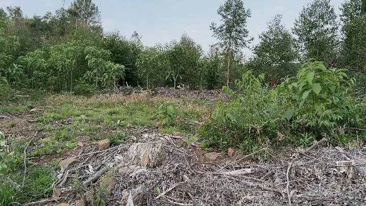 Country home for sale of 10 acres in Caraá, RS, Brazil