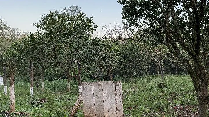 Country home for sale of 10 acres in Caraá, RS, Brazil