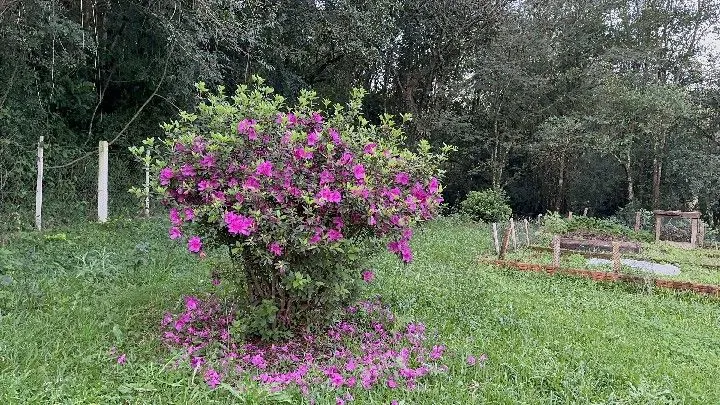 Country home for sale of 10 acres in Caraá, RS, Brazil