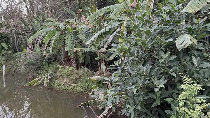 Country home for sale of 10 acres in Caraá, RS, Brazil