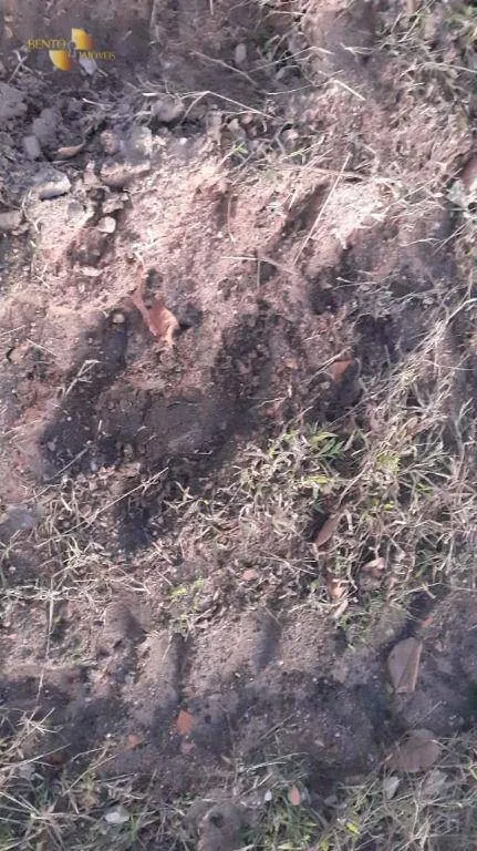 Fazenda à venda de 1.540 ha em Cuiabá, MT, Brasil