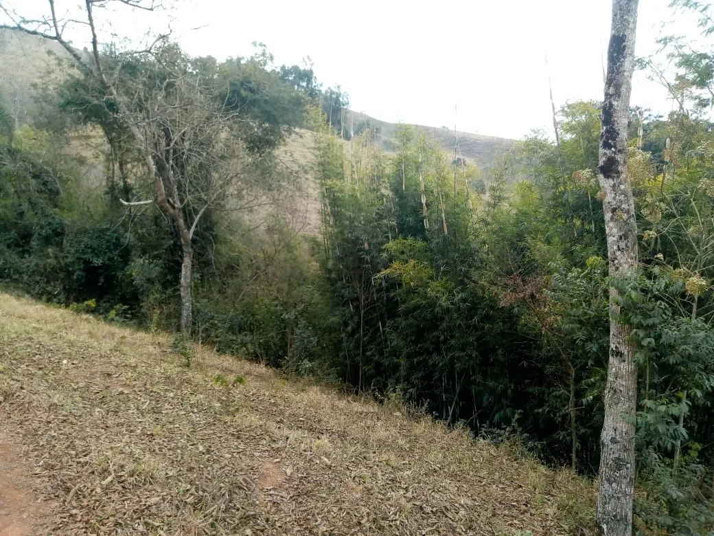 Sítio à venda de 48 ha em Cambuí, MG, Brasil