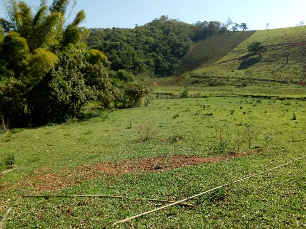 Sítio à venda de 48 ha em Cambuí, MG, Brasil