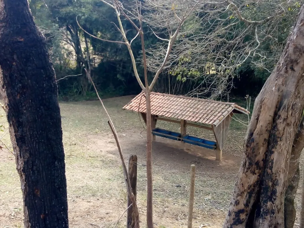 Sítio à venda de 48 ha em Cambuí, MG, Brasil