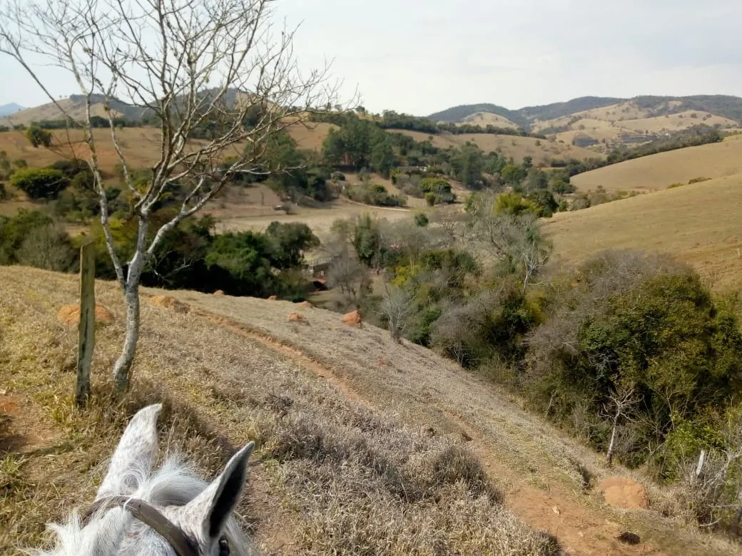 Sítio à venda de 48 ha em Cambuí, MG, Brasil