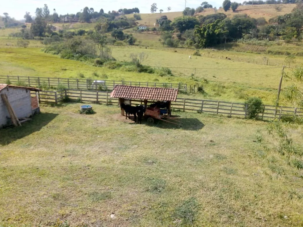 Sítio à venda de 48 ha em Cambuí, MG, Brasil