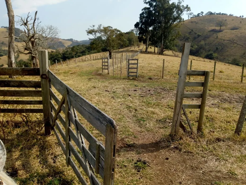 Sítio à venda de 48 ha em Cambuí, MG, Brasil