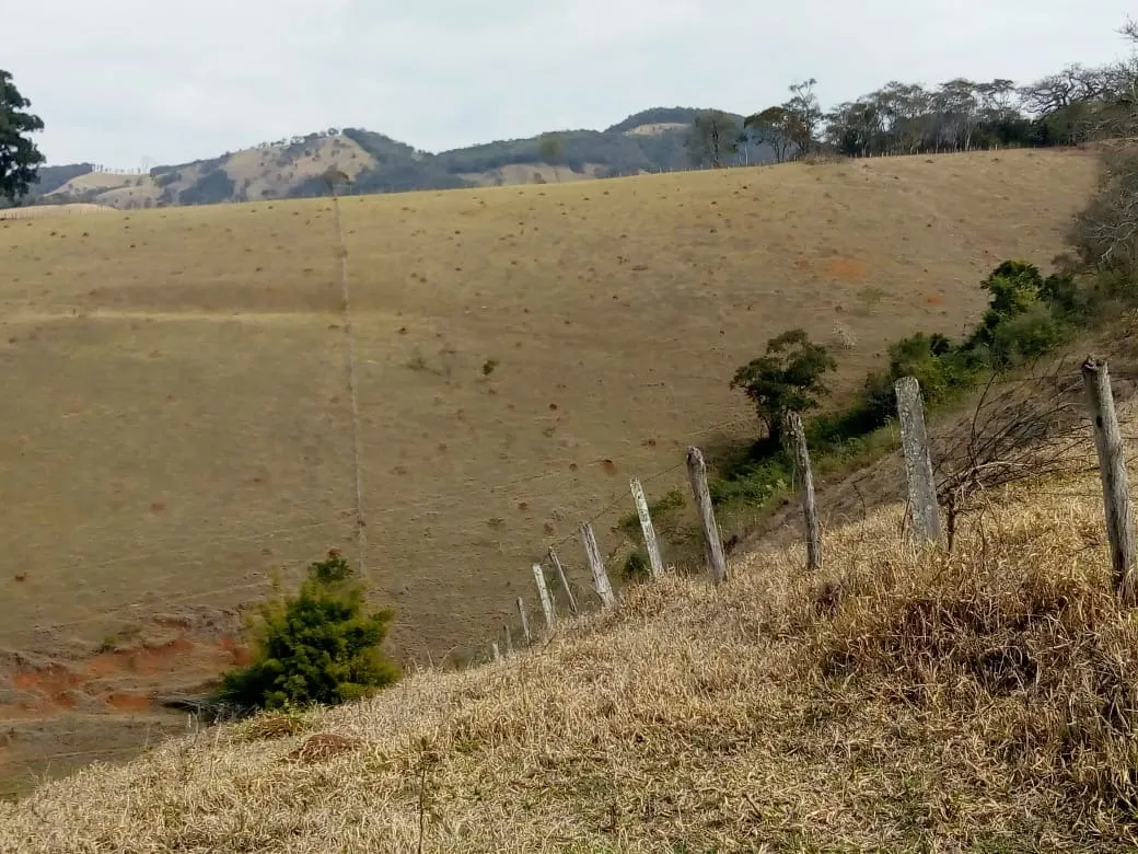 Sítio à venda de 48 ha em Cambuí, MG, Brasil