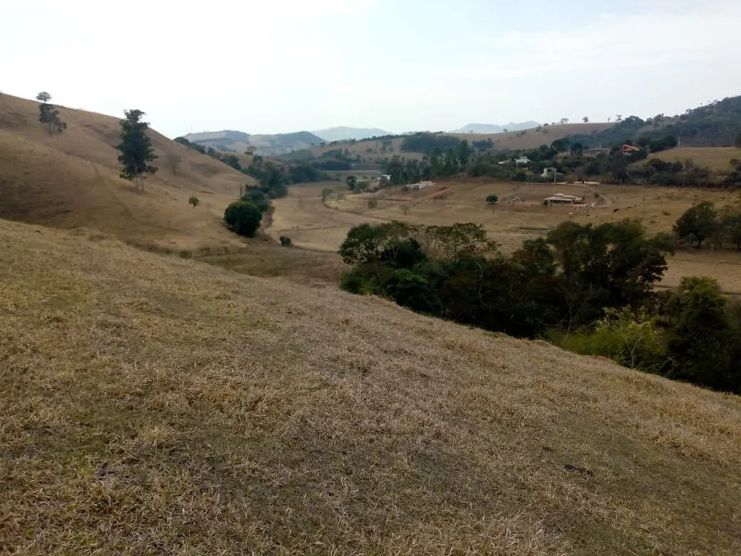 Sítio à venda de 48 ha em Cambuí, MG, Brasil