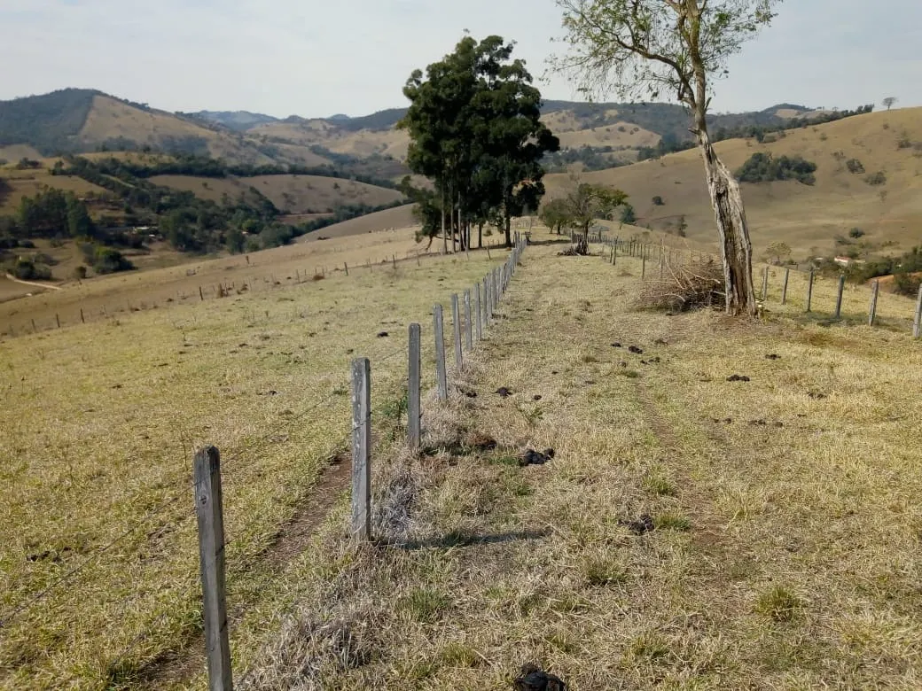 Sítio à venda de 48 ha em Cambuí, MG, Brasil