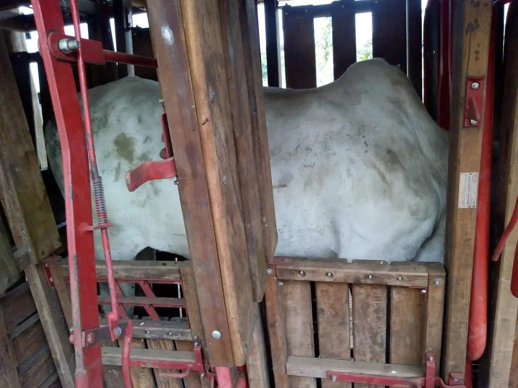 Sítio à venda de 48 ha em Cambuí, MG, Brasil