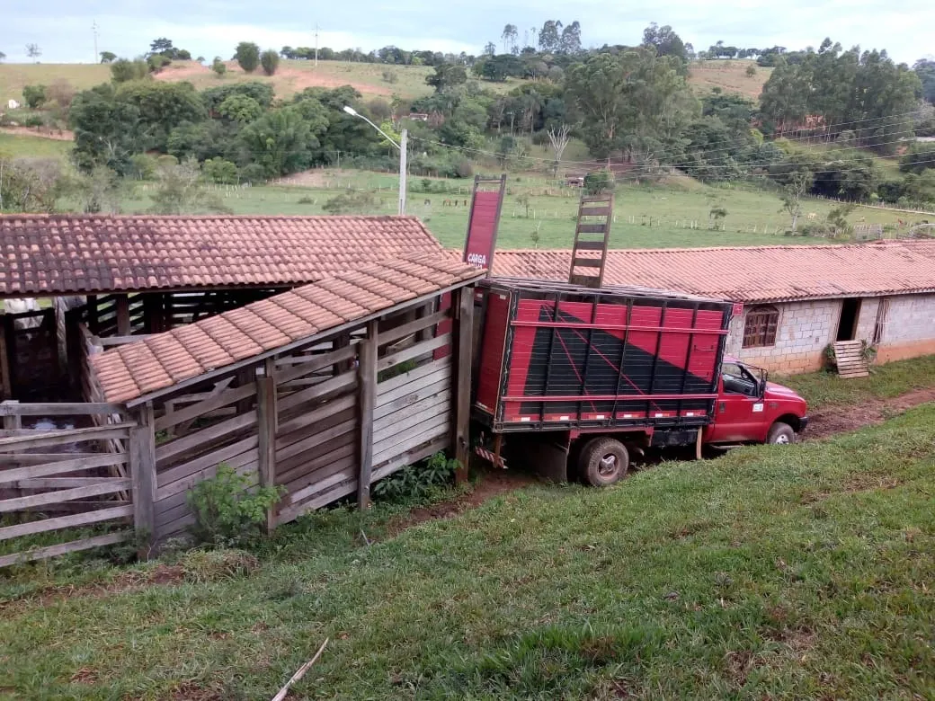 Sítio à venda de 48 ha em Cambuí, MG, Brasil