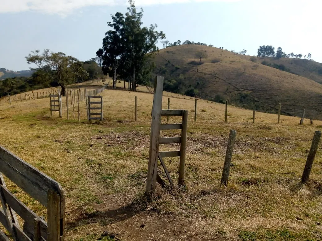 Sítio à venda de 48 ha em Cambuí, MG, Brasil