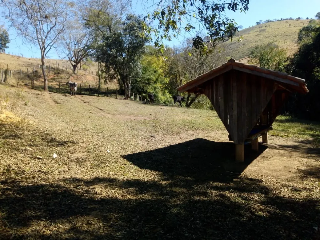 Sítio à venda de 48 ha em Cambuí, MG, Brasil
