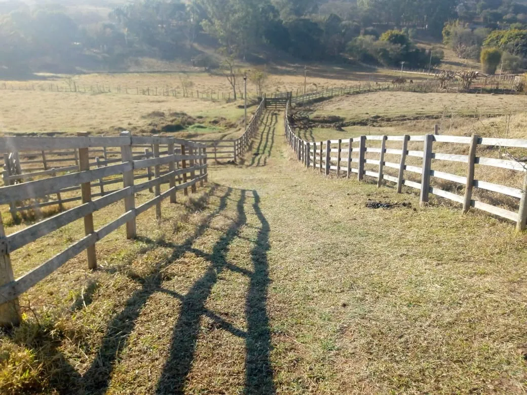 Sítio à venda de 48 ha em Cambuí, MG, Brasil