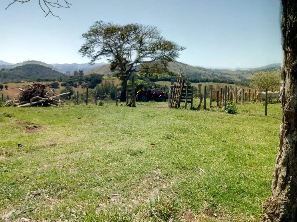 Sítio à venda de 48 ha em Cambuí, MG, Brasil