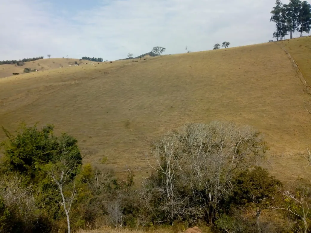Sítio à venda de 48 ha em Cambuí, MG, Brasil