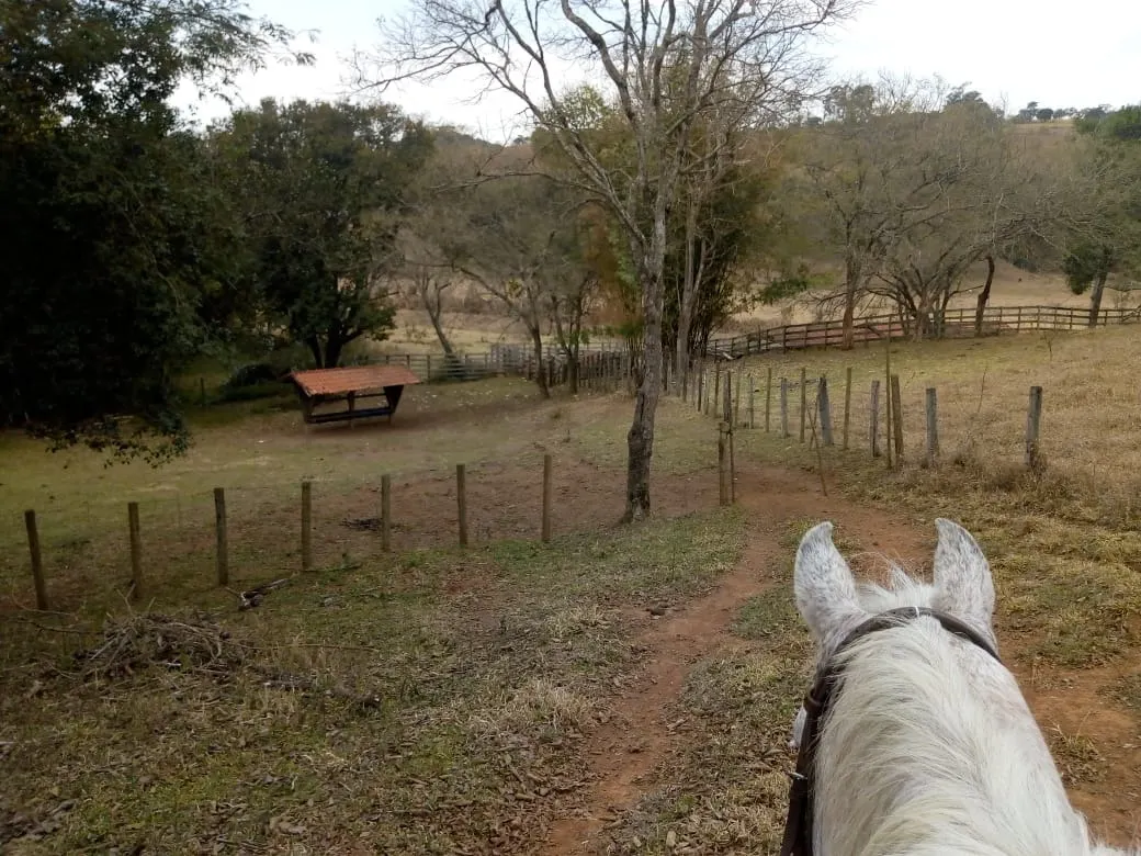 Sítio à venda de 48 ha em Cambuí, MG, Brasil