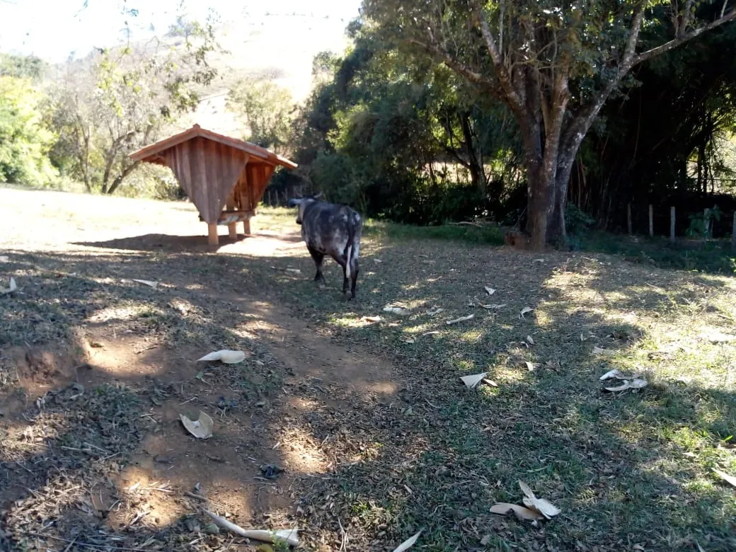 Sítio à venda de 48 ha em Cambuí, MG, Brasil