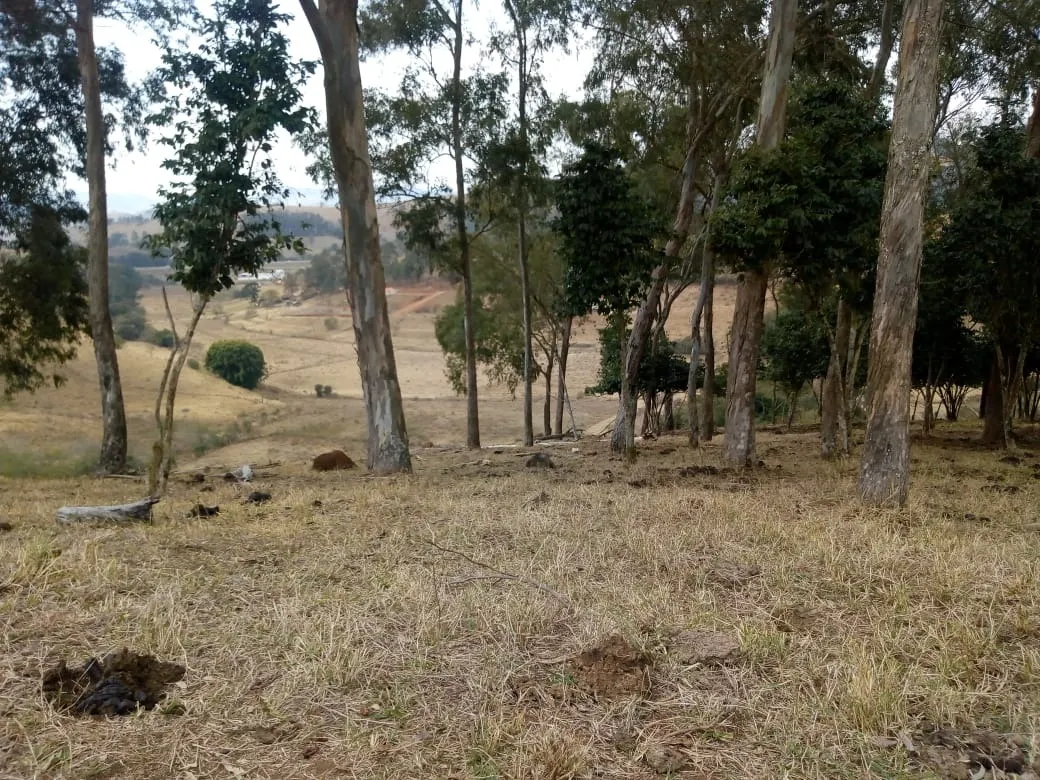 Sítio à venda de 48 ha em Cambuí, MG, Brasil