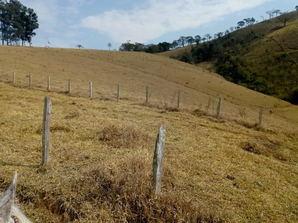 Sítio à venda de 48 ha em Cambuí, MG, Brasil