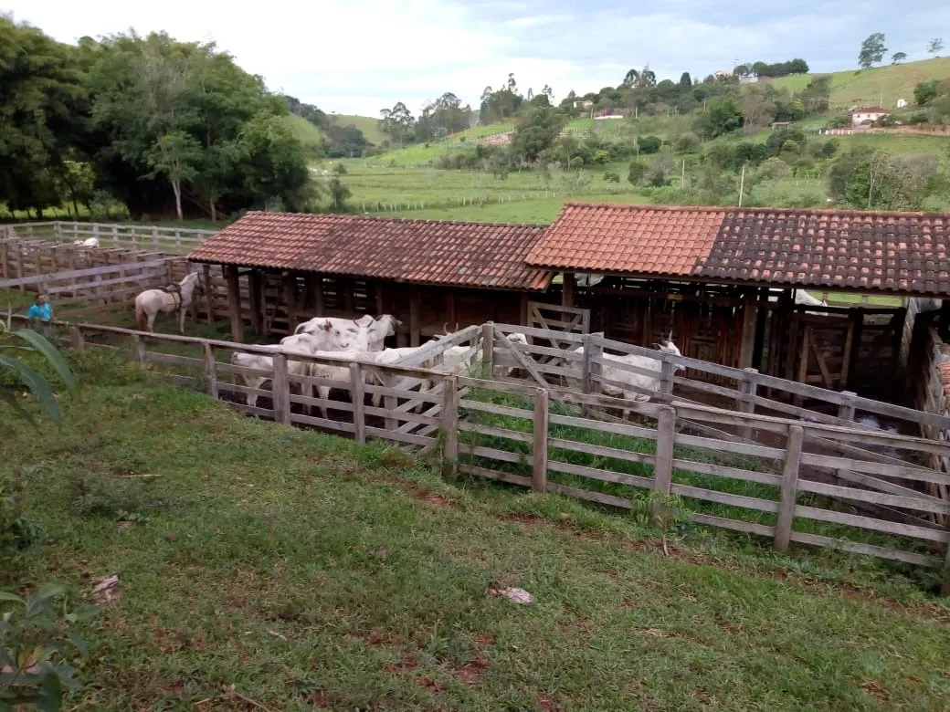 Sítio à venda de 48 ha em Cambuí, MG, Brasil