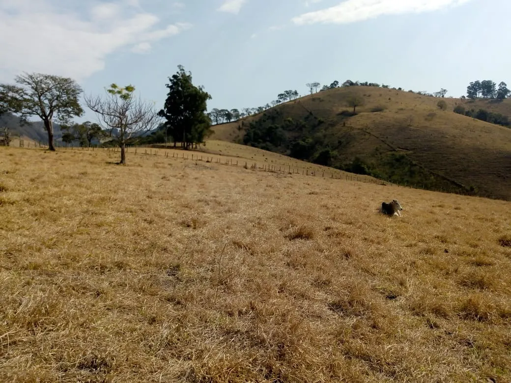Sítio à venda de 48 ha em Cambuí, MG, Brasil
