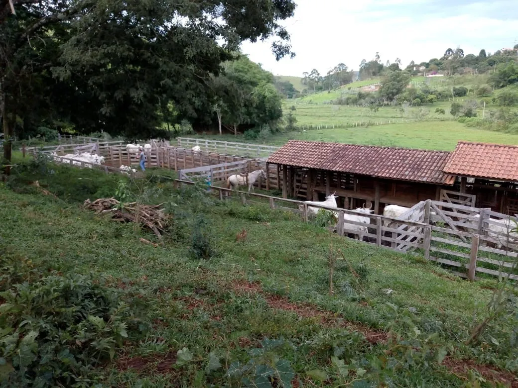 Sítio à venda de 48 ha em Cambuí, MG, Brasil