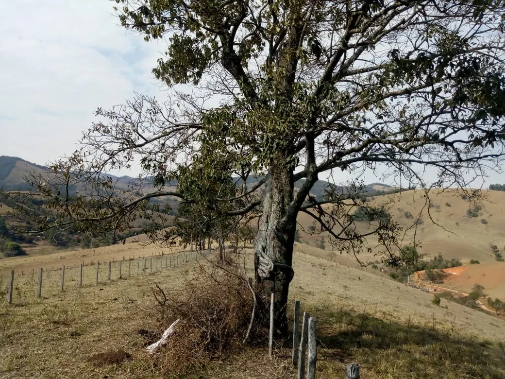 Sítio à venda de 48 ha em Cambuí, MG, Brasil