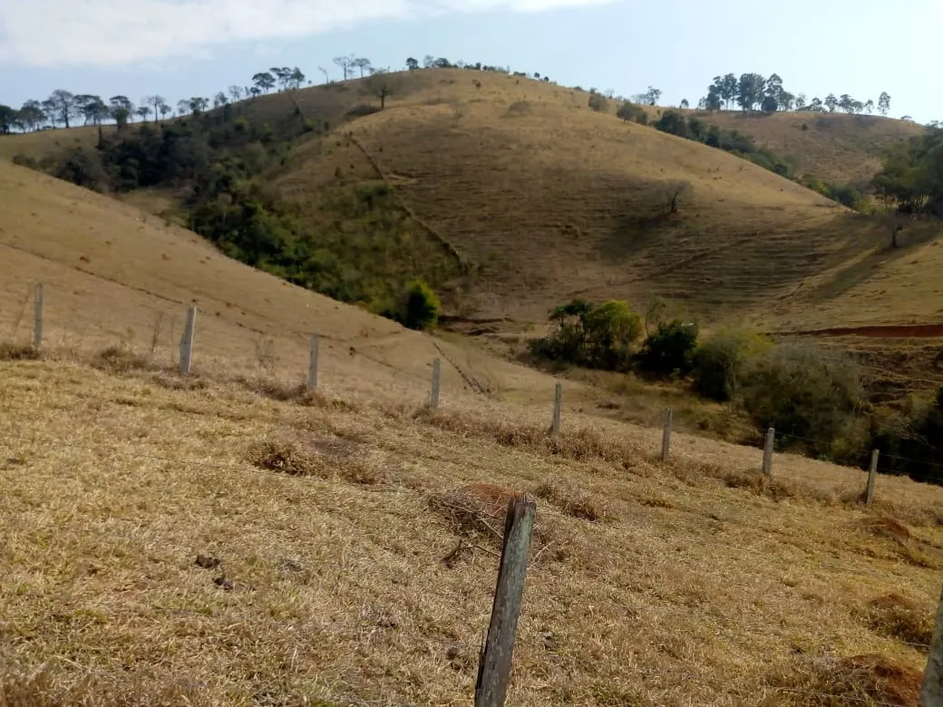 Sítio à venda de 48 ha em Cambuí, MG, Brasil