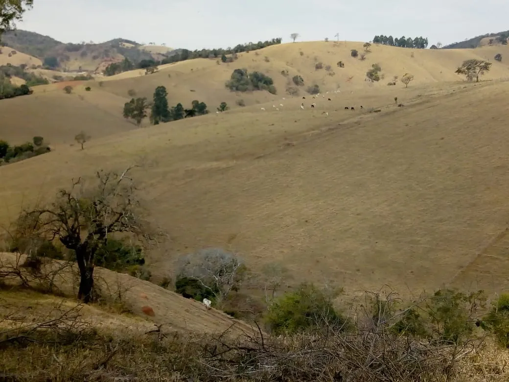 Sítio à venda de 48 ha em Cambuí, MG, Brasil