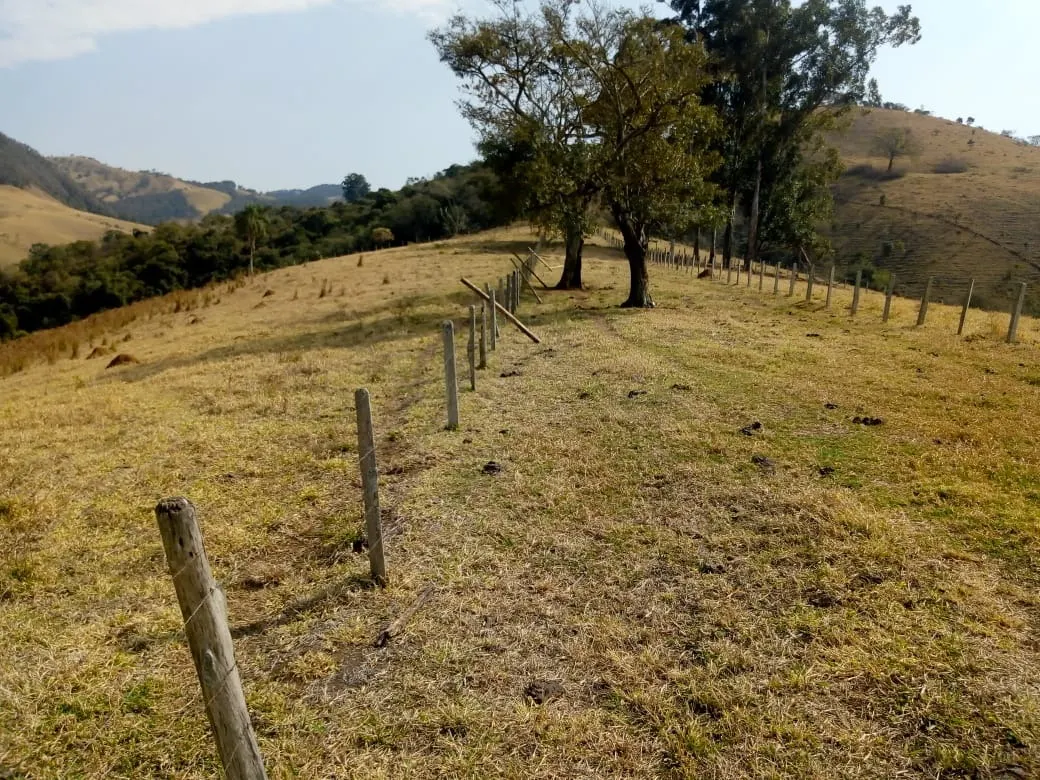 Sítio à venda de 48 ha em Cambuí, MG, Brasil