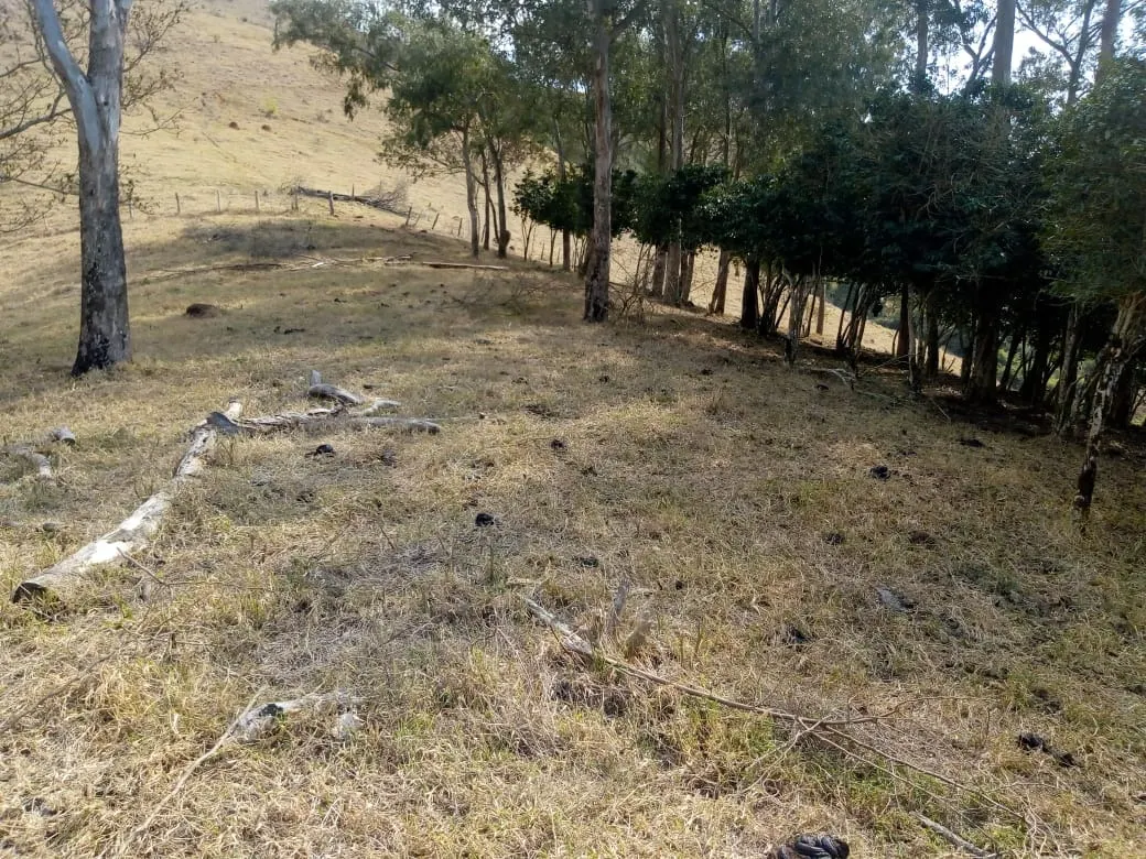 Sítio à venda de 48 ha em Cambuí, MG, Brasil