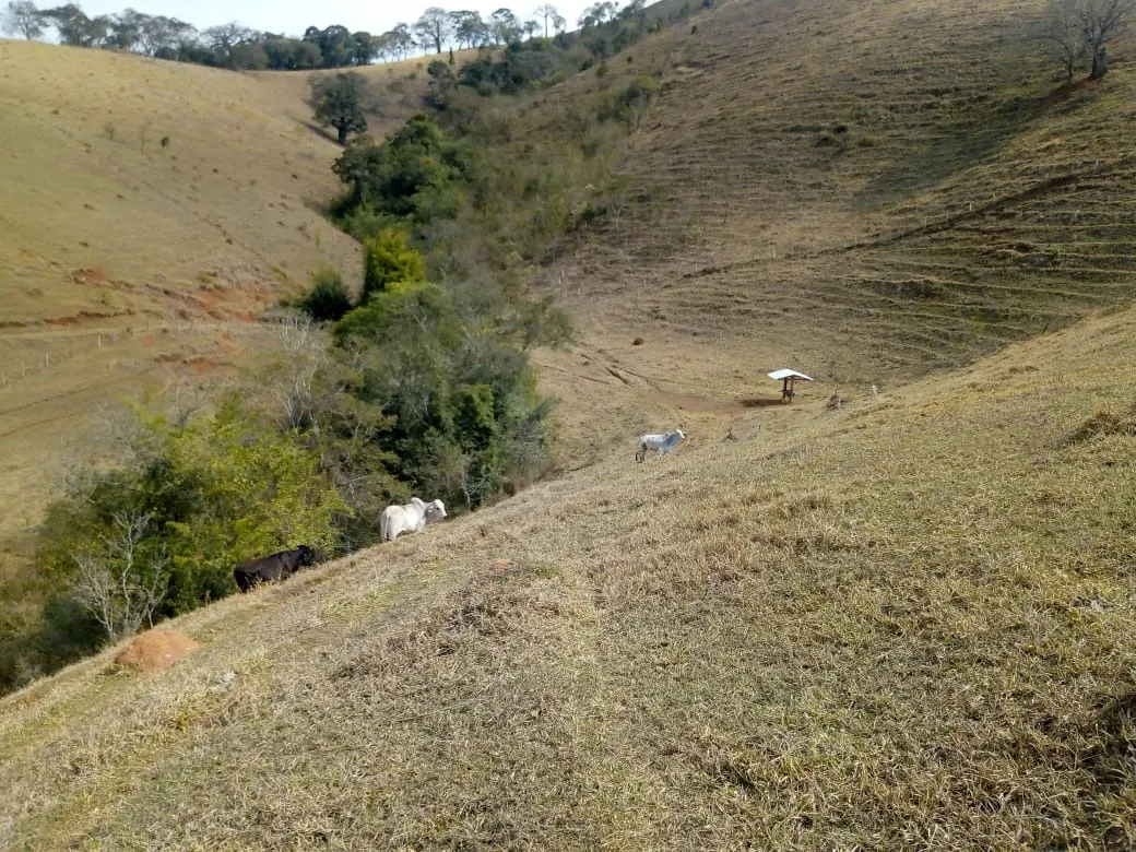 Sítio à venda de 48 ha em Cambuí, MG, Brasil