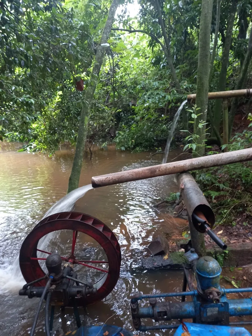 Fazenda à venda de 438 ha em Araraquara, SP, Brasil