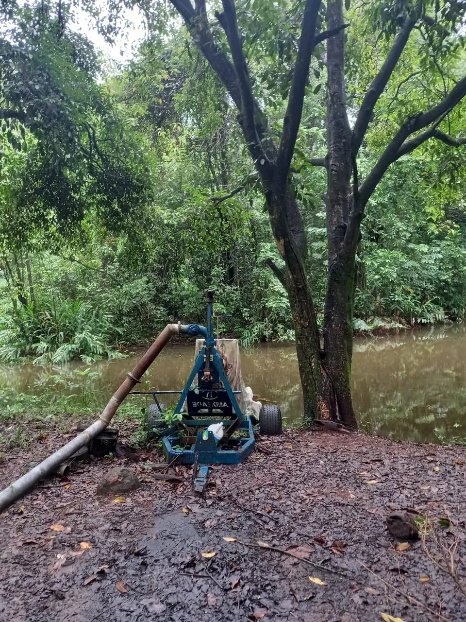 Fazenda à venda de 438 ha em Araraquara, SP, Brasil